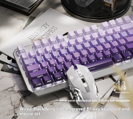 Purple and white keyboard with mouse on a marble surface